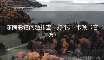 东隅影馆问题排查 _ 打不开-卡顿(官方)