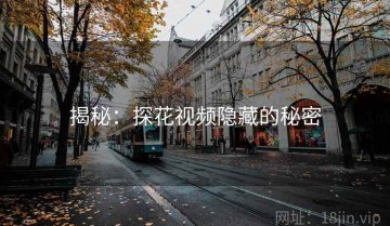 揭秘：探花视频隐藏的秘密
