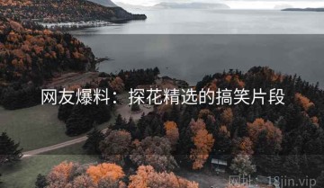网友爆料:探花精选的搞笑片段