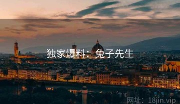 独家爆料：兔子先生